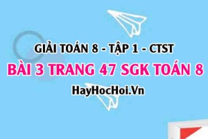 Giải bài 3 trang 47 Toán 8 Tập 1 SGK Chân trời sáng tạo